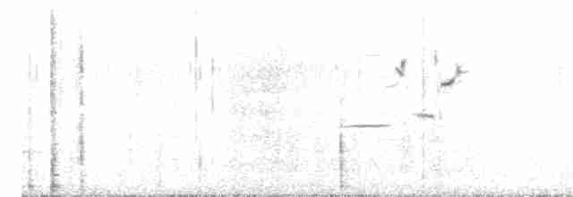 Сахарский жаворонок - ML203892281