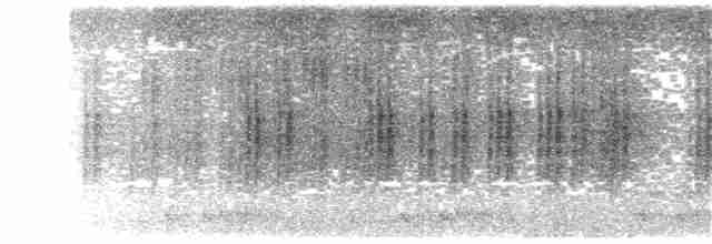 Spot-necked Babbler - ML203892331