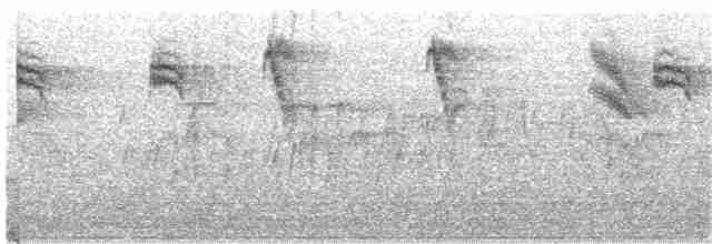 gråfluesnapper (striata gr.) - ML203892561