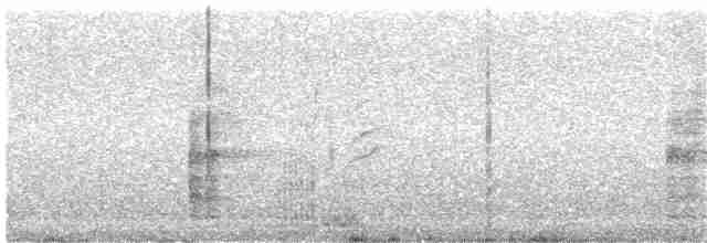 Ring-necked Pheasant - ML203892571
