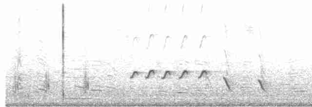 Chilespottdrossel - ML203892601