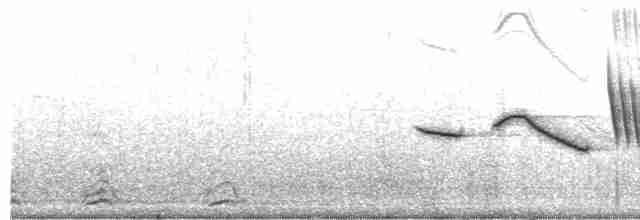 Бруант рудошиїй (підвид australis) - ML203892751