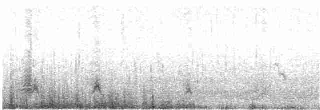 Хохлатая утка - ML203892801
