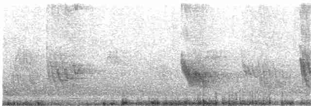 Güneyli Mor Kırlangıç - ML203892841