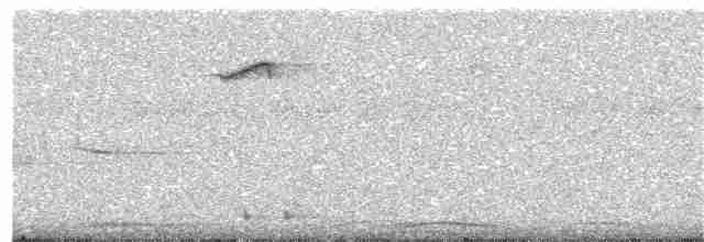 gråsideblomsterfugl (celebicum gr.) - ML203892951