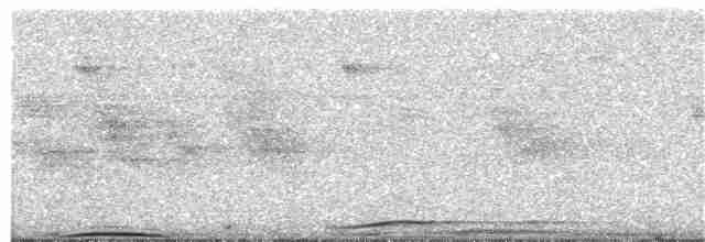 白喉林鴿 - ML203893191