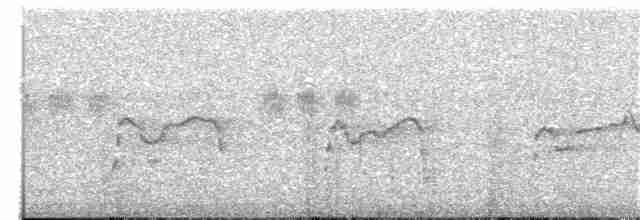 Fischadler (cristatus) - ML203893241
