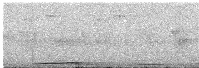 Султанская кукушковая горлица [группа albicapilla] - ML203893501
