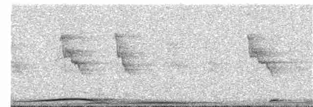 Султанская кукушковая горлица [группа albicapilla] - ML203893541