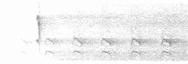 Prinia rayée (melanops/obscura) - ML203893561