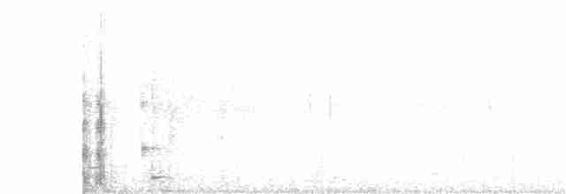 Geai à nuque blanche - ML203893601