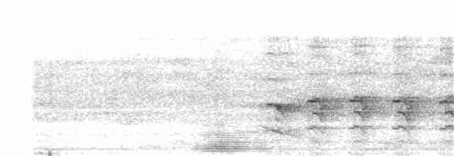 jadeisfugl (chloris gr.) - ML203893831