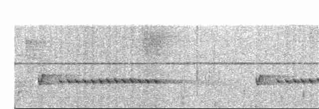 Luzonschneidervogel - ML203894461