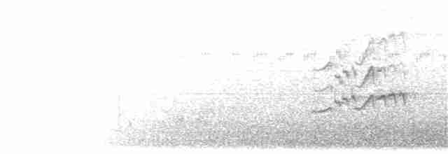 Длиннохвостый сорокопут (schach) - ML203894791