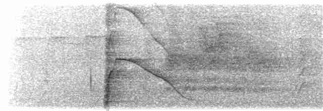 Кракс жовтодзьобий (підвид fasciolata/grayi) - ML203894921