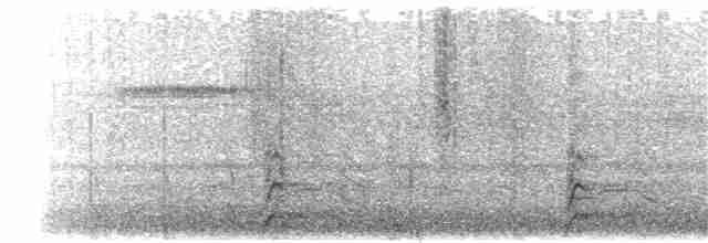 Gözlüklü Hokko (fasciolata/grayi) - ML203894931