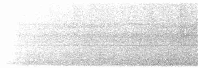 シロムネオオハシ（tucanus） - ML203895101