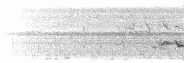 Rufous-browed Peppershrike (Northern) - ML203895201