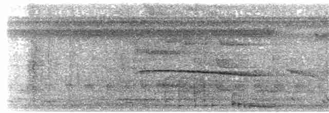 Amazon Oropendulası (yuracares/neivae) - ML203895211