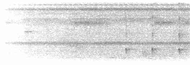 Шлемоносная чубатка - ML203895221
