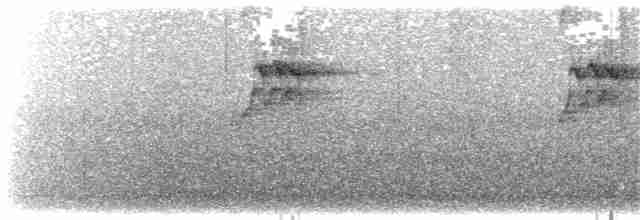 Питкэрнский лори-отшельник - ML203895371