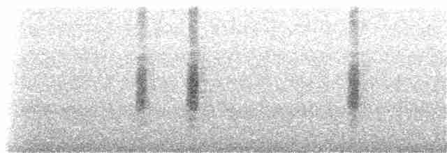 Pitcairn Reed Warbler - ML203895441