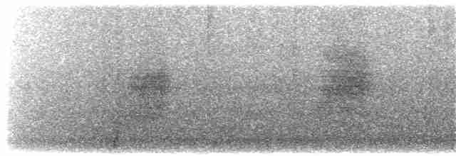 Pitcairn Reed Warbler - ML203895451