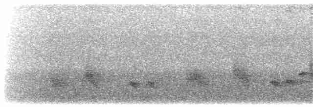 Southern Marquesan Reed Warbler - ML203895521