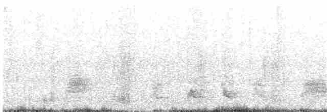 Tuamotu Reed Warbler - ML203895551