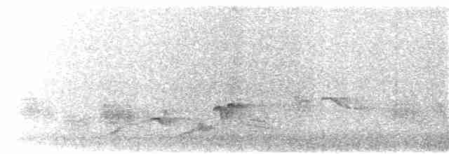 Northern Marquesan Reed Warbler - ML203895581