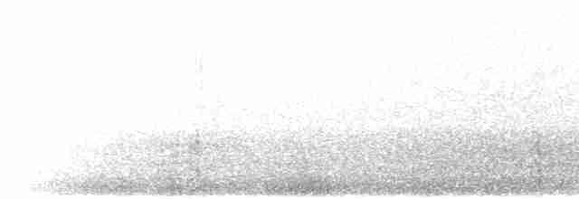 Сула жовтодзьоба - ML203895621