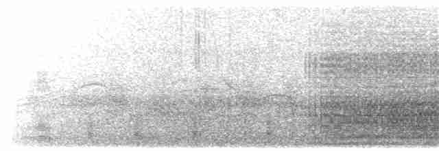Красноногая олуша (rubripes) - ML203895631