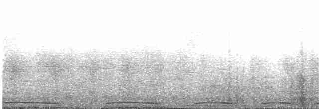 Ptilope de Dupetit-Thouars - ML203895721
