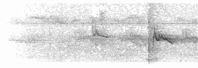 Graumantel-Brillenvogel - ML203895781