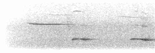 Braunrücken-Ameisenvogel [exsul-Gruppe] - ML203896171