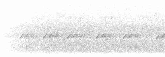 Boz Kanatlı Karıncakuşu - ML203896181