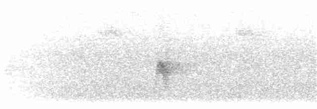 Темноспинная муравьеловка - ML203896191