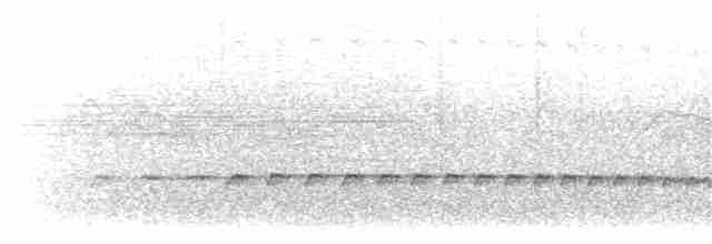 Tüpfelkronen-Ameisenvogel - ML203896271