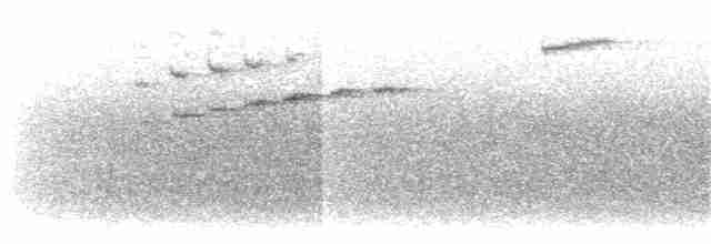 Соловьиный крапивник (luscinia) - ML203896281