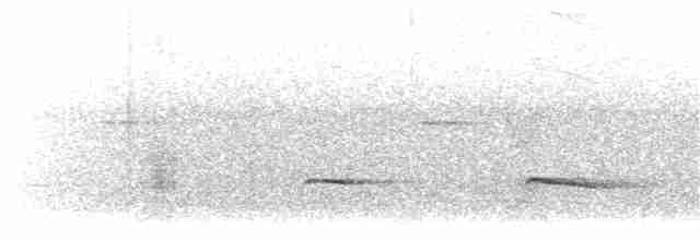 Braunrücken-Ameisenvogel [exsul-Gruppe] - ML203896291
