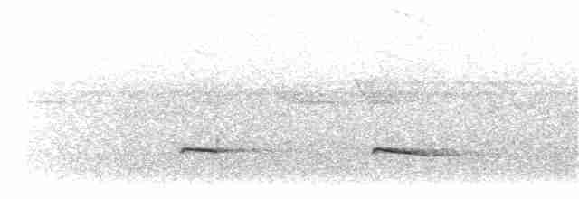 Kestane Sırtlı Karıncakuşu [exsul grubu] - ML203896301