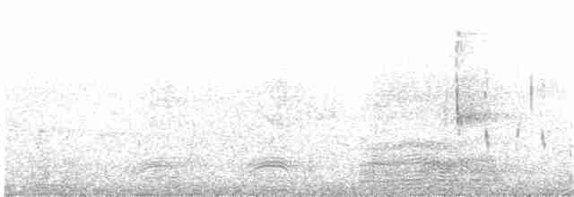 Малый пегий зимородок - ML203896771