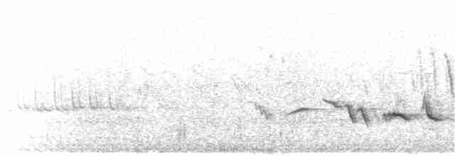 blåtrost (solitarius/longirostris) - ML203896821