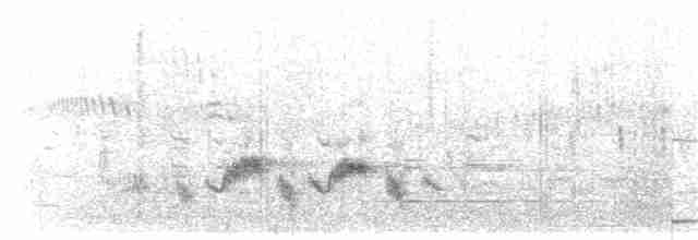 Western Orphean Warbler - ML203896941