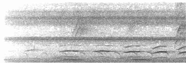 brunvingemaurvarsler - ML203897021