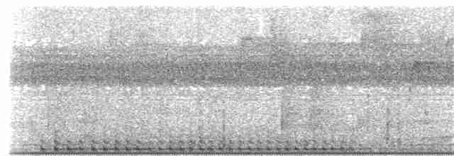 stripesvartspett (lineatus gr.) - ML203897141