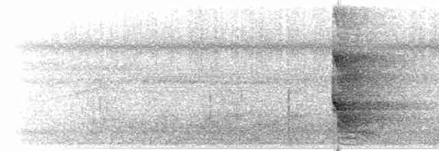 volavka proměnlivá (ssp. striata) - ML203897321