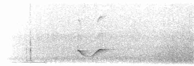 Bristle-thighed Curlew - ML203897601