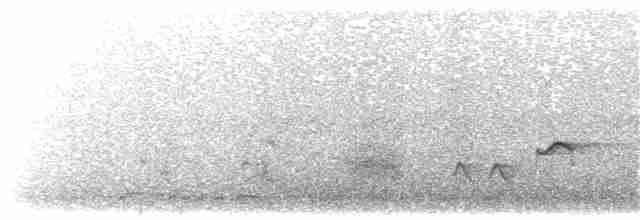 Southern Marquesan Reed Warbler - ML203897831