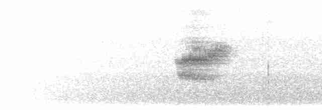 Вилохвістка плямиста - ML203898011